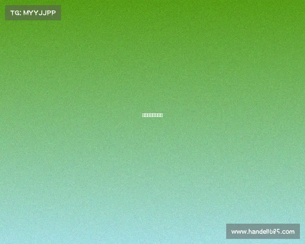 国家女排联赛时间