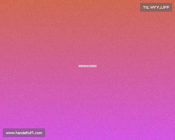 赛事活动报价表;赛事报价单