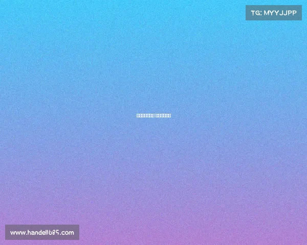 女排赛事南京站 南京女排联赛