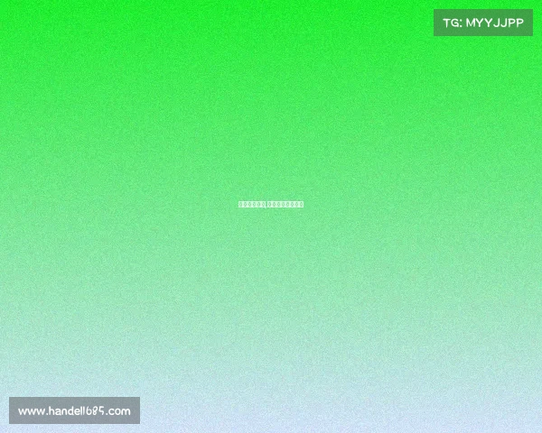 武术赛事视屏,武术网络视频大赛